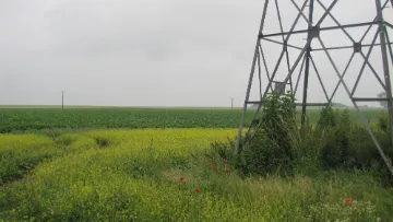 biodiversité chaussette à pylônes